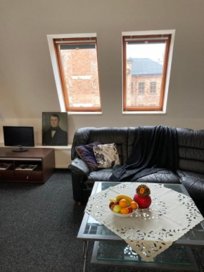 Apartmán Veleslavínova, Trutnov